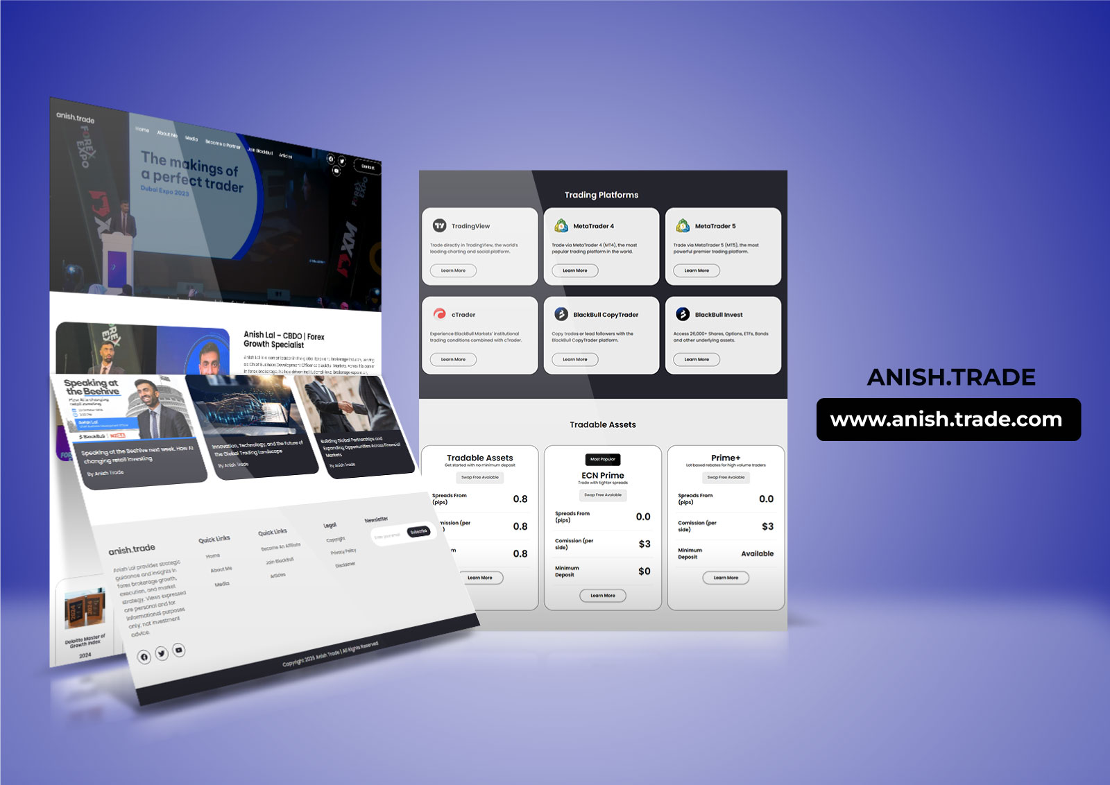 Anish Lal professional profile website